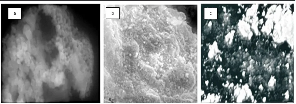 Fig. 2. SEM images of NiFe2-xCoxO4 samples investigated; (a) x = 0.1, (b) x = 0.2, and (c) x = 0.3