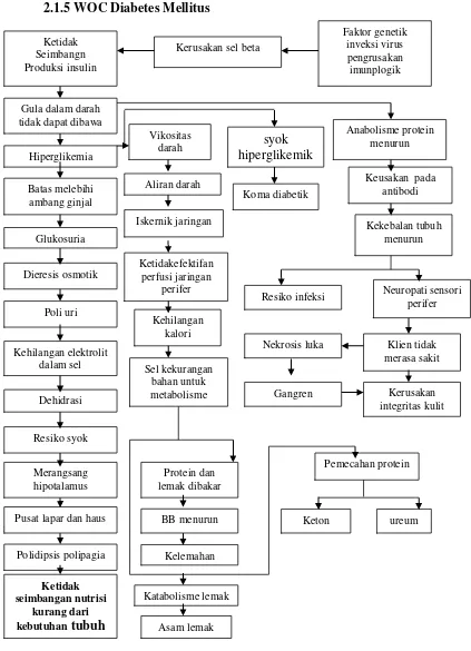 Gambar 2.1  Pohon masalah diabetes mellitus (Huda,2015) 