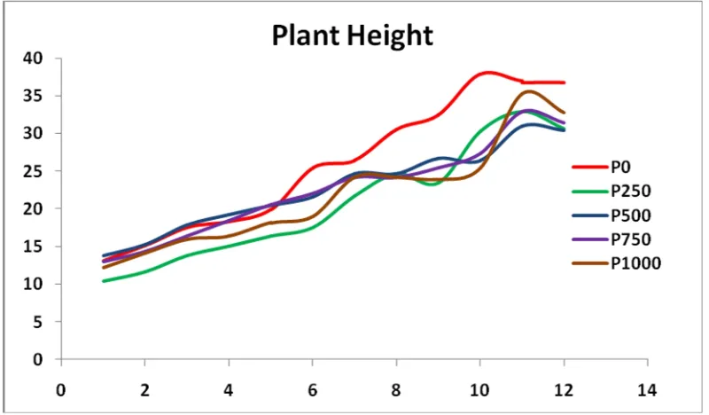 Table 3.  The effect of paclobutrazol and KNO3 on the stem dry weight on 120 DAP