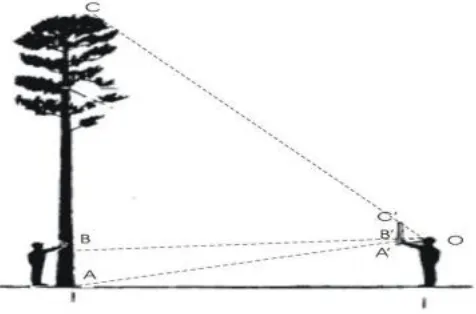 Gambar 4.5.2 Cara menggunakan walking stick 