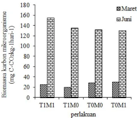 Tabel 1. Ringkasan uji signifikasi pengaruh olah tanahdan aplikasi mulsa bagas terhadap C-mik pada9 dan 12 bulan setelah tanam (BST).