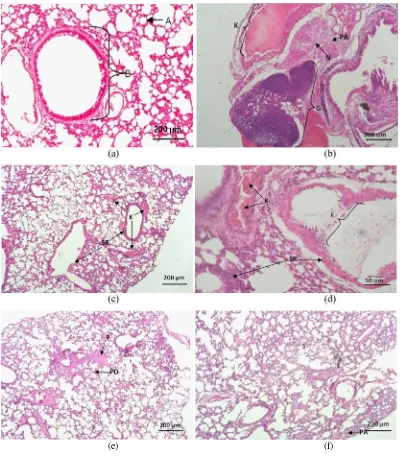 Gambar 2 Mikroskopis jaringan paru tikus dengan pewarnaan hematoxylin-eosin