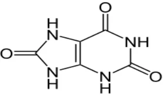 Gambar 2.1.2 Struktur asam urat. 
