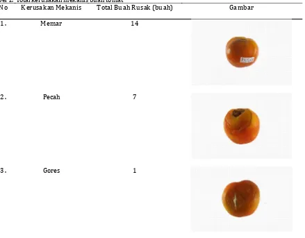 Tabel 1.  Total kerusakan mekanis buah tomatNoKerusakan MekanisTotal Buah Rusak (buah)