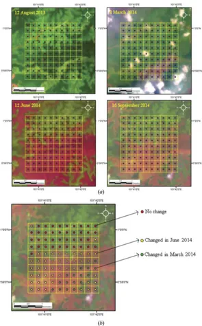 Figure 4. (diforest cover change identia) A 100-point grid overlaid on Landsat images from diﬀerent dates and (b) the period ofﬁed from Landsat time-series images (diﬀerent coloured dots indicate aﬀerent period of forest cover change).