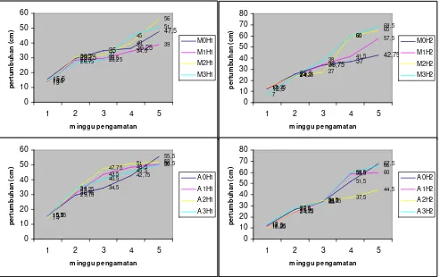 Tabel 3. Pengaruh pemberian ekstrak daun mindi dan akasia pada 3 tingkat perbandingan (v/w) yang berbeda terhadap pertumbuhan tanaman kacang hijau dan jagung  