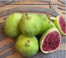 Gambar 2: Buah tin Green jordan 