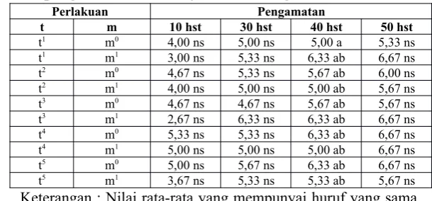 Tabel 13. Data pengamatan rata-rata jumlah cabang tanaman tomat