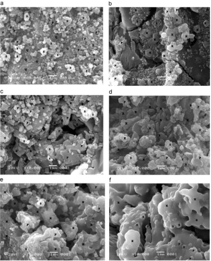 Fig. 4. The scanning electron microscopy (SEM) images of the samples sintered at different temperatures (a) 1050(f) 1350 °C, (b) 1110 °C, (c) 1170 °C, (d) 1230 °C, (e) 1290 °C, °C