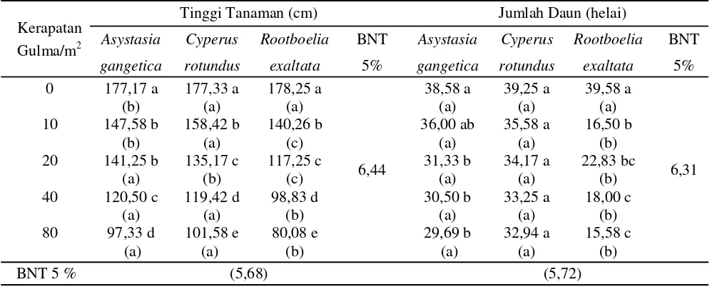 Tabel 2. Pengaruh interaksi pengaruh jenis dan kerapatan gulma pada tinggi tanaman (cm) dan jumlah daun (helai/tanaman) pada umur 12 MST.