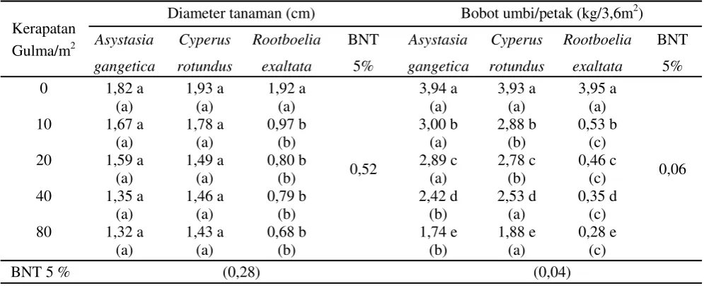 Tabel 3. Interaksi pengaruh jenis dan kerapatan gulma pada diameter tanaman (cm) dan bobot umbi/ petak (kg/3,6m2) umur 12 MST.