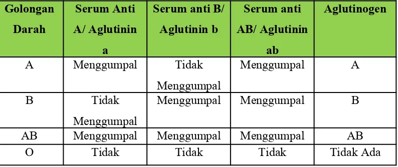 Tabel 2. Aglutinasi golongan darah dengan serum anti A, Anti B dan anti AB