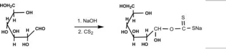 Figure 1. Scheme of cellulose xanthate synthesis (Homagai et al, 2010)