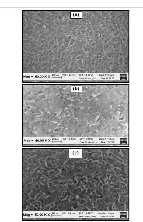 Figure 9: Comparison between SEM images of (a) fresh NiMCF, (b) spent NiMCF and (c) regenerated NiMCF catalyst obtained from catalytic deoxygenation in a semi-batch reactor.