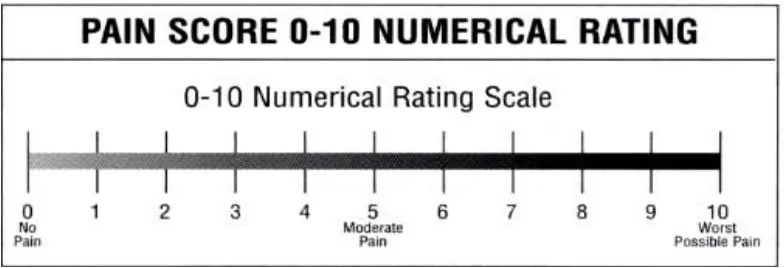 Gambar 2.4. Numerical Rating Scale (Potter & Perry, 2006) 