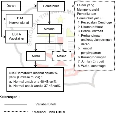 Gambar 3.1 Kerangka konseptual tentang “perbedaan nilai hematokrit dengan antikoagulan EDTA konvensional dan EDTA vacutainer” (Gandasoebrata, 2013)