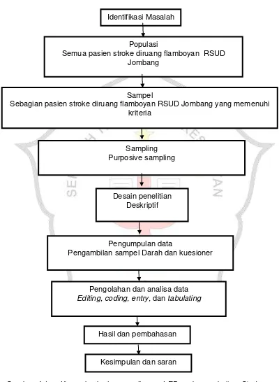 Gambar 4.1    Kerangka kerja pemeriksaan LED pada penderita  Stroke non hemoragik di ruang flamboyan RSUD Jombang tahun 2017