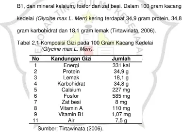 Tabel 2.1 Komposisi Gizi pada 100 Gram Kacang Kedelai 