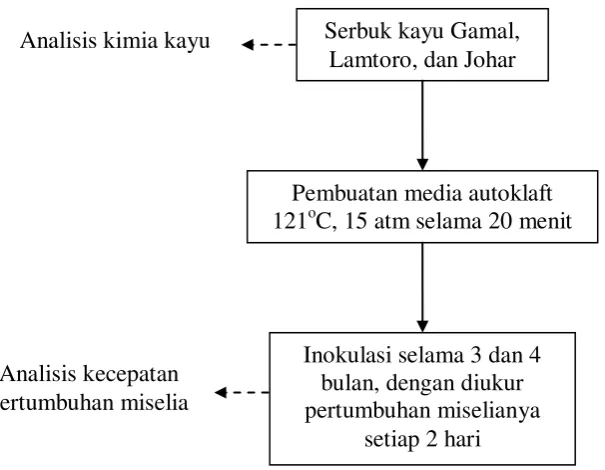 Gambar 1. Bagan alir penelitian 