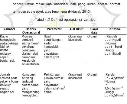 Tabel 4.2 Definisi operasional variabel 