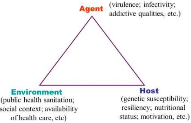 Gambar 4: The Epidemiological Triad of agent, host, and environmental factor 