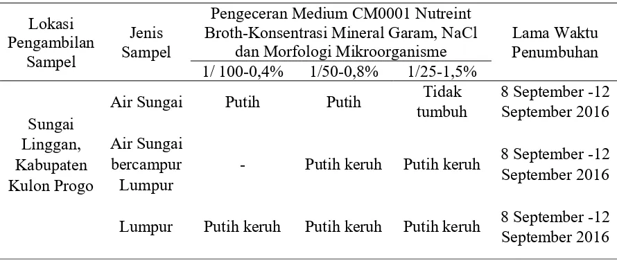 Tabel 2. Morfologi Mikroorganisme Habitat Perairan Sungai Linggan 