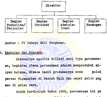Gambar 1.Struktur Organisasi CV Cahaya Ball Denpasar