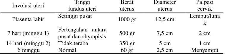 Tabel  2.3 Perubahan-perubahan normal pada uterus selama post partum 