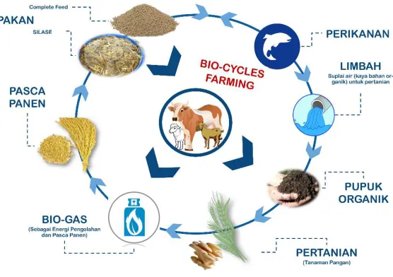 Gambar 1.1. Siklus Proses Zero Waste dengan konsep Bio-Cycle Farming (dokumen olahan pribadi)