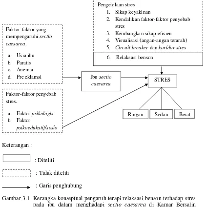 Gambar 3.1  Kerangka konseptual pengaruh terapi relaksasi benson terhadap stres pada ibu dalam menghadapi sectio caesarea di Kamar Bersalin RSUD Jombang