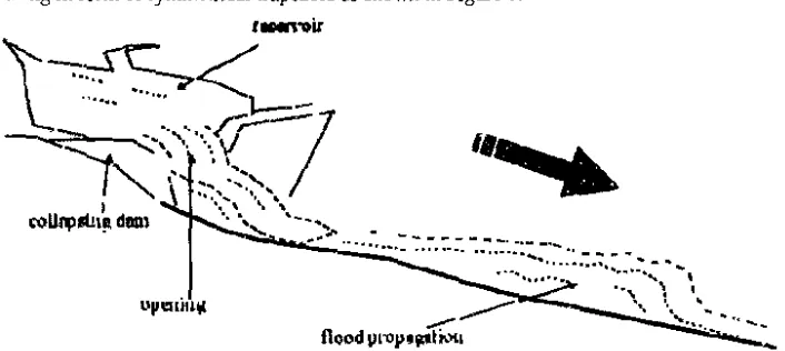 Fig. 2. Colaps~:Jg dam and the flood propagating downstream. 