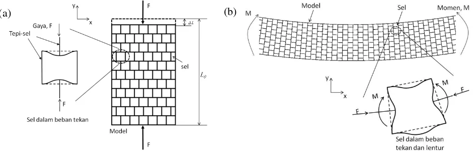Gambar 1. Ilustrasi mekanisme deformasi-lokal sel. (a) Dalam beban tekan: bagian atas dan bawah tepi-sel melendut