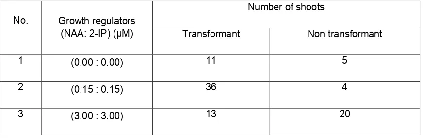 Table 2. Number of Shoot Production from 35S::KNAT1 transformant stem explant after 13 