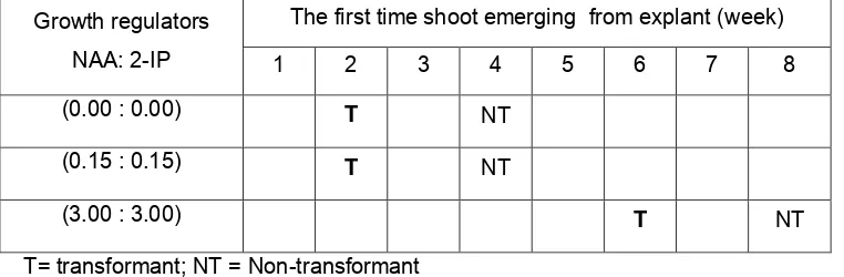 Table 1. The Growth of Shoots from transformant and non-transformant stem explants on half strength NP Medium and Various Concentration of Growth Regulators Auxin and Cytokinin