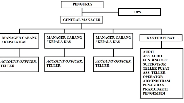 Gambar 3.1 Struktur Organisasi BMT Taruna Sejahtera 
