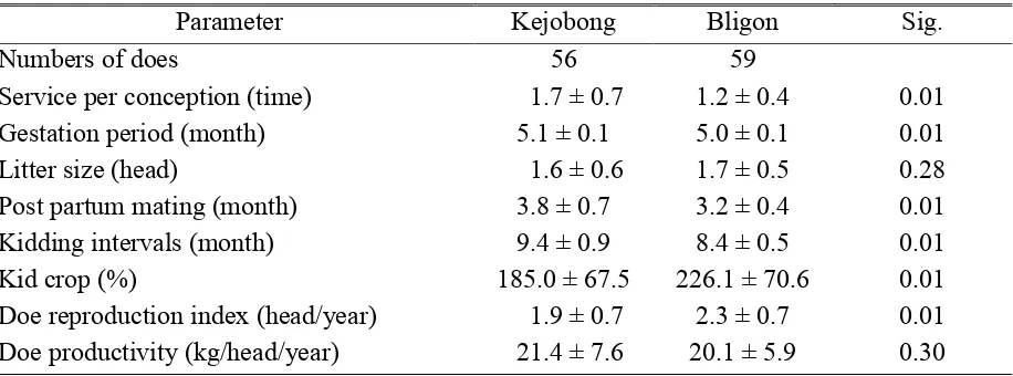 Tabel 2. Productivity of Kejobong and Bligon does kept by farmers 