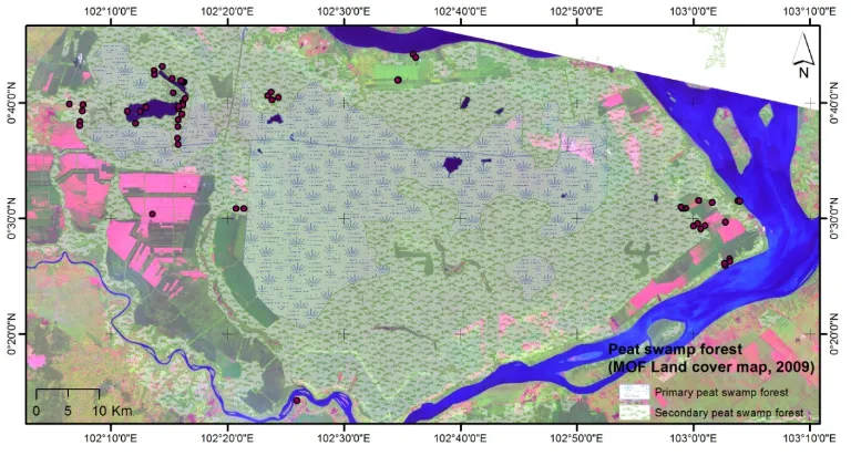 Figure 1 Color composite of Landsat 8 LDCM data (optical sensor) with band 6,5,4 in RGB channels (background), distribution of sampling plots and peat swamp forests over Kampar (foreground) 