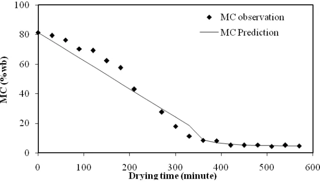 Figure 4. The prediction and observation of moisture content (MC) on sliced turmeric by employing greenhouse effect 