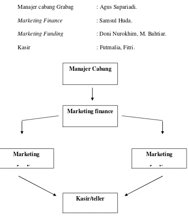 Gambar 3.1 Struktur Organisasi BMT Tumang cabang Grabag 