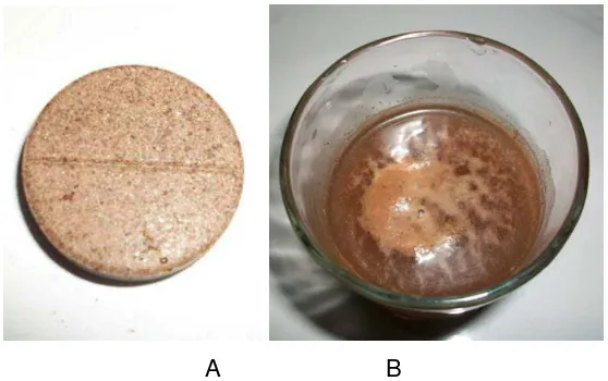 Gambar 1. A Tablet effervescent cokelat, B. Seduhan effervescent cokelat 
