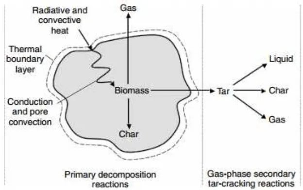 Figure 1. Pyrolysis in a biomass particle  