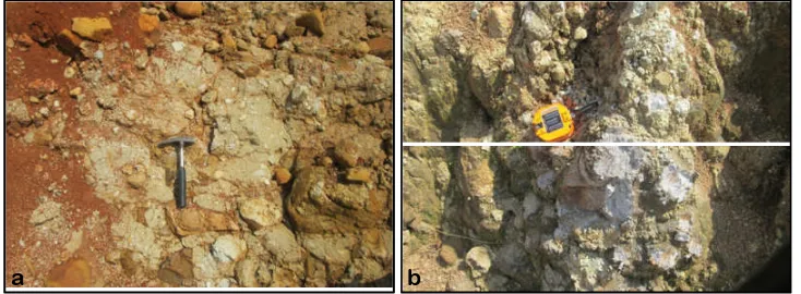 Gambar 7. (a). Singkapan breksi volkanik bersifat andesit dan basalt dari Formasi HalangBawah (Tmhl)
