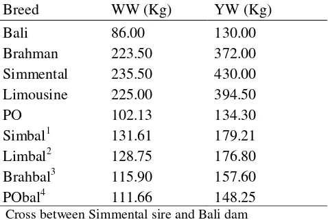 Table 2. Phenotype data on Bali cows and the crosses 