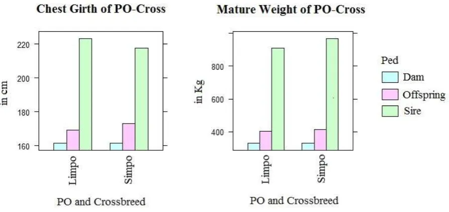 Figure 1. Performance of PO cows and the crosses 