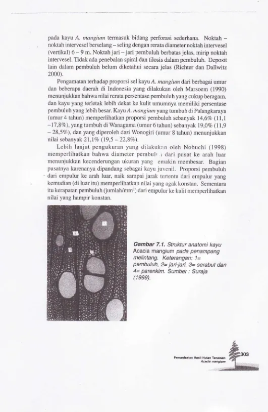 Gambar 7.1. Sttuktur anatomi kayuAcacla mangium pada penanpang