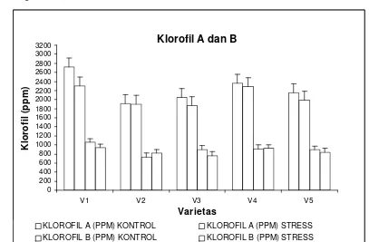 Gambar 7. Grafik kandungan klorofil A dan klorofil B tanaman (ppm) pada perlakuan kontrol dan cekaman kekeringan  