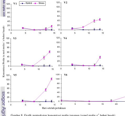 Gambar 8. Grafik peningkatan konsentrasi prolin tanaman (µ