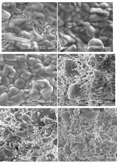 Fig. 4: The scanning electron microscopy 