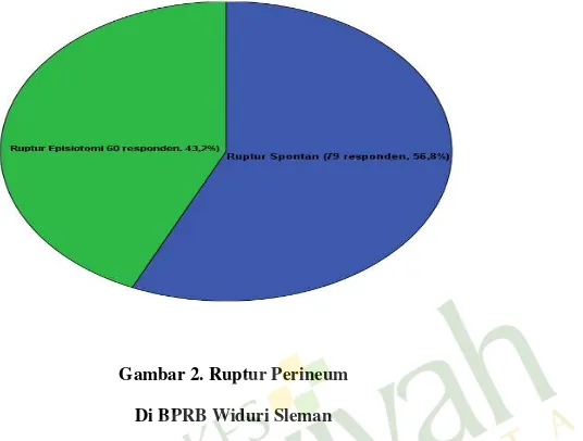 Gambar 2. Ruptur Perineum 