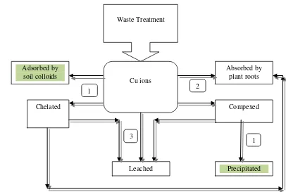 Fig. 4.  The possibility of the waste-origin Cu removal from soil labile fractions ±10 years after waste treatment (1 – Adsorption or precipitation, 2 – Absorption by plant roots, 3 – leaching)